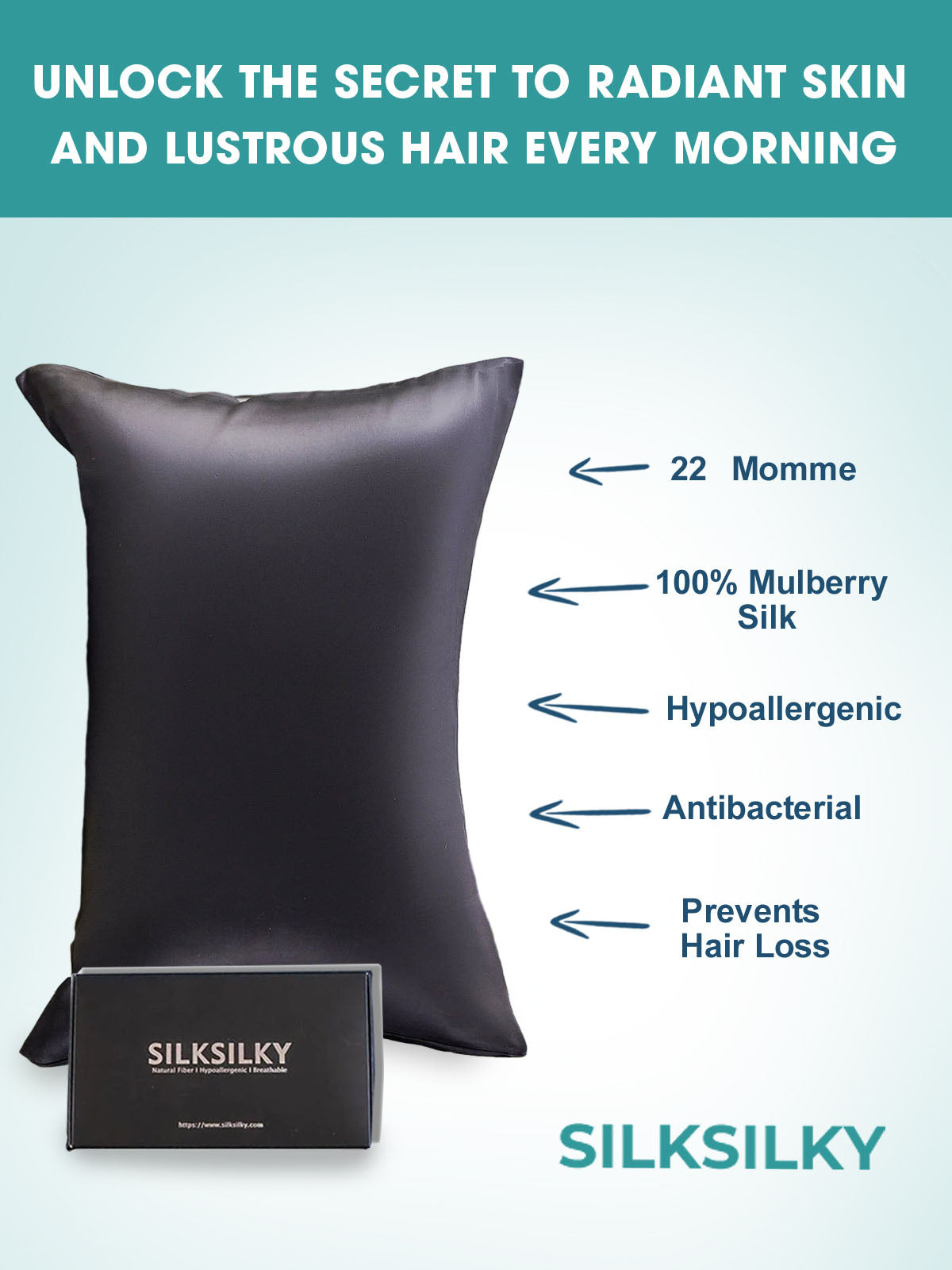 [Negro] SilkSilky-ES 22Momme Seda Pura Pillowcase 002