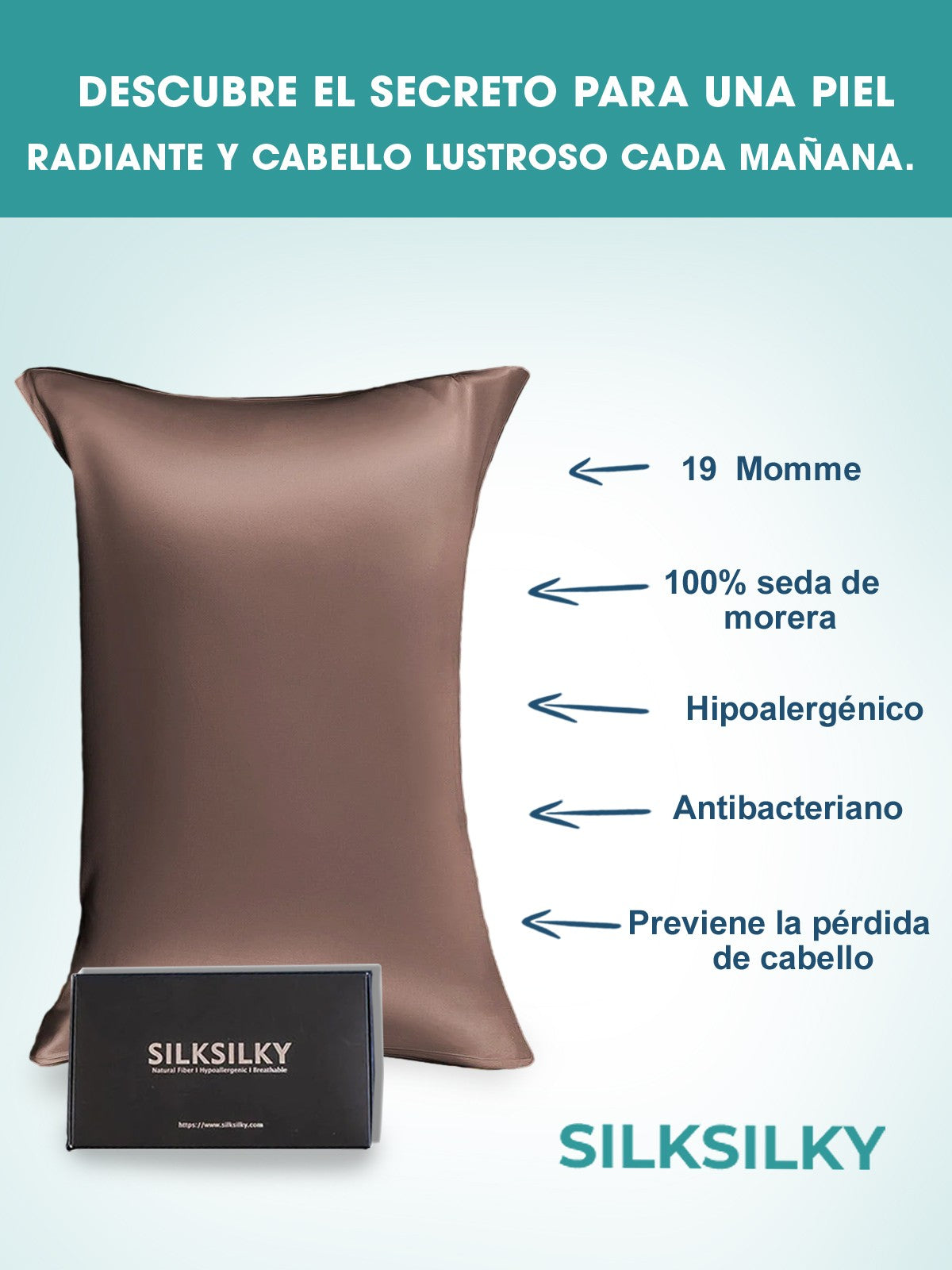 SilkSilky-ES 19Momme Seda Pura Pillowcase Marrón 003