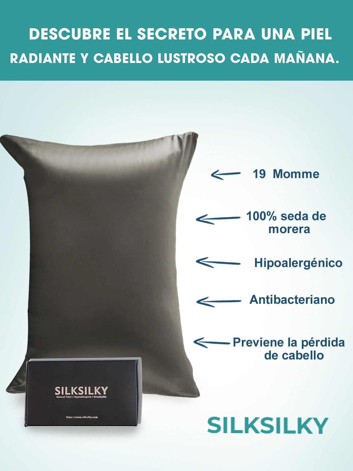 SilkSilky-ES 19Momme Seda Pura Pillowcase GrisOscuro 003