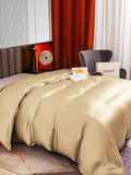 SilkSilky ES 22Momme Seda Pura Duvet Cover Beige 002