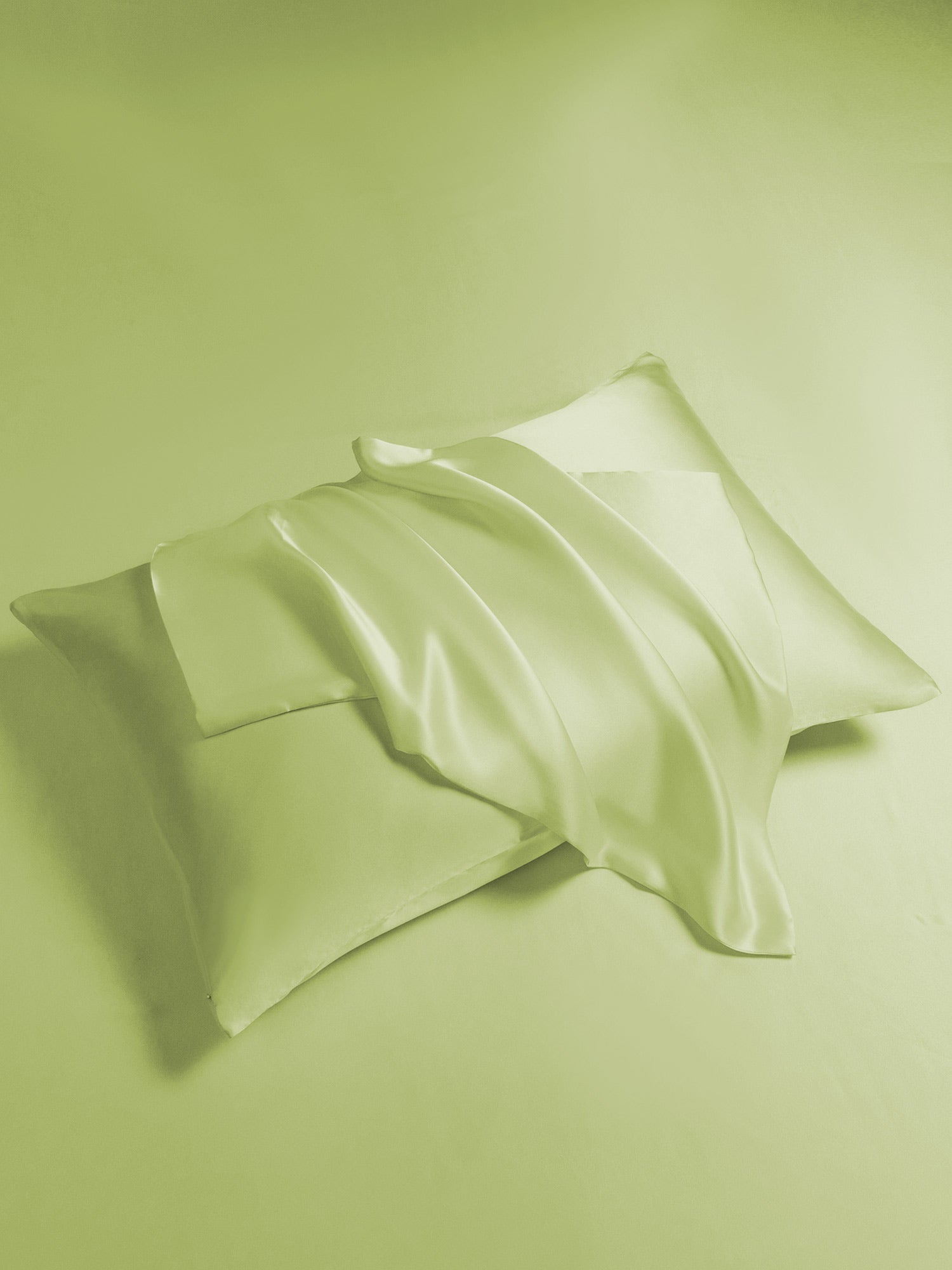 [Menta Verde] SilkSilky-ES 19Momme Juego de ropa de cama 007