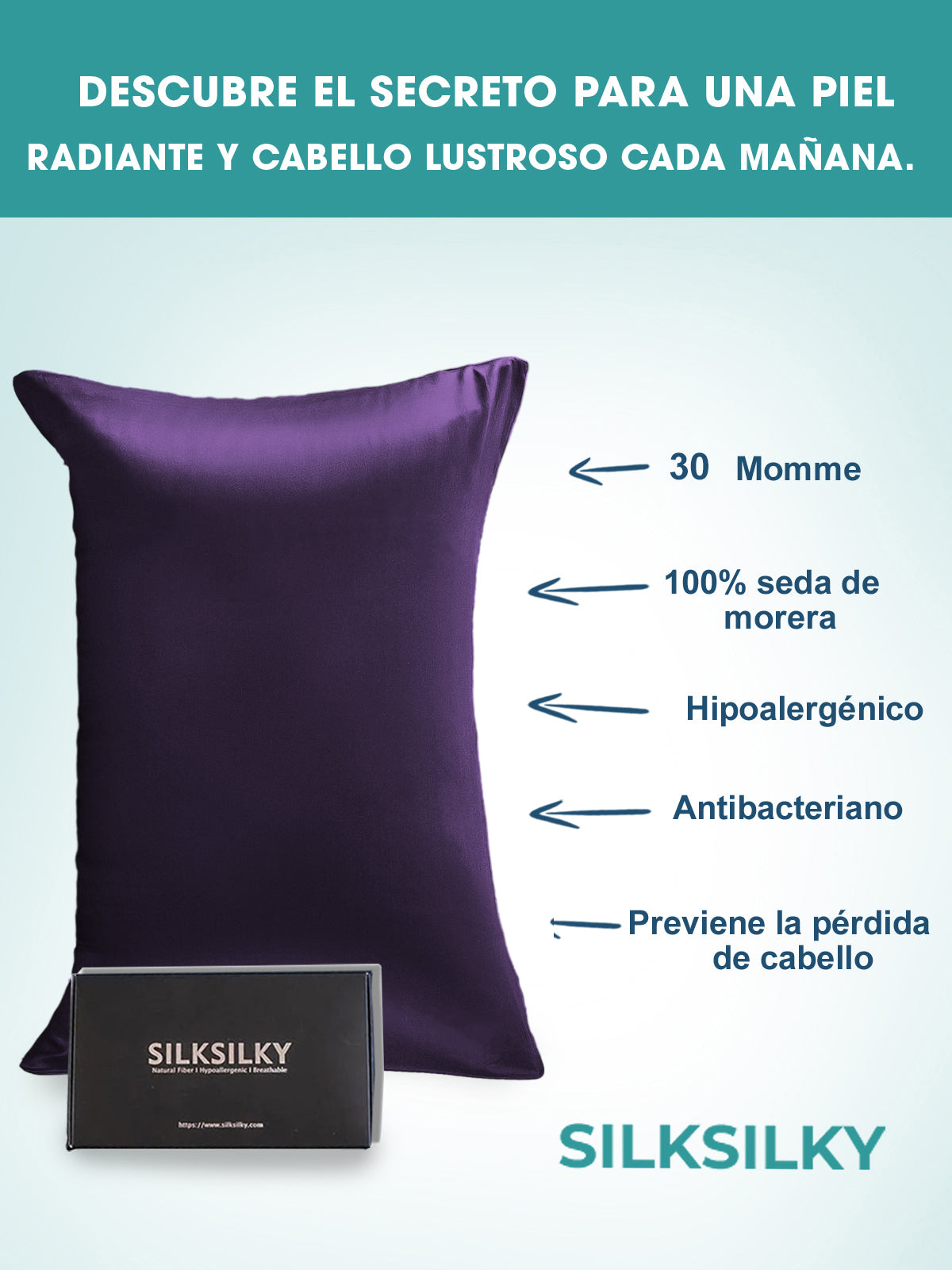 SilkSilky ES 30Momme Seda Pura Pillowcase MoradoOscuro 002