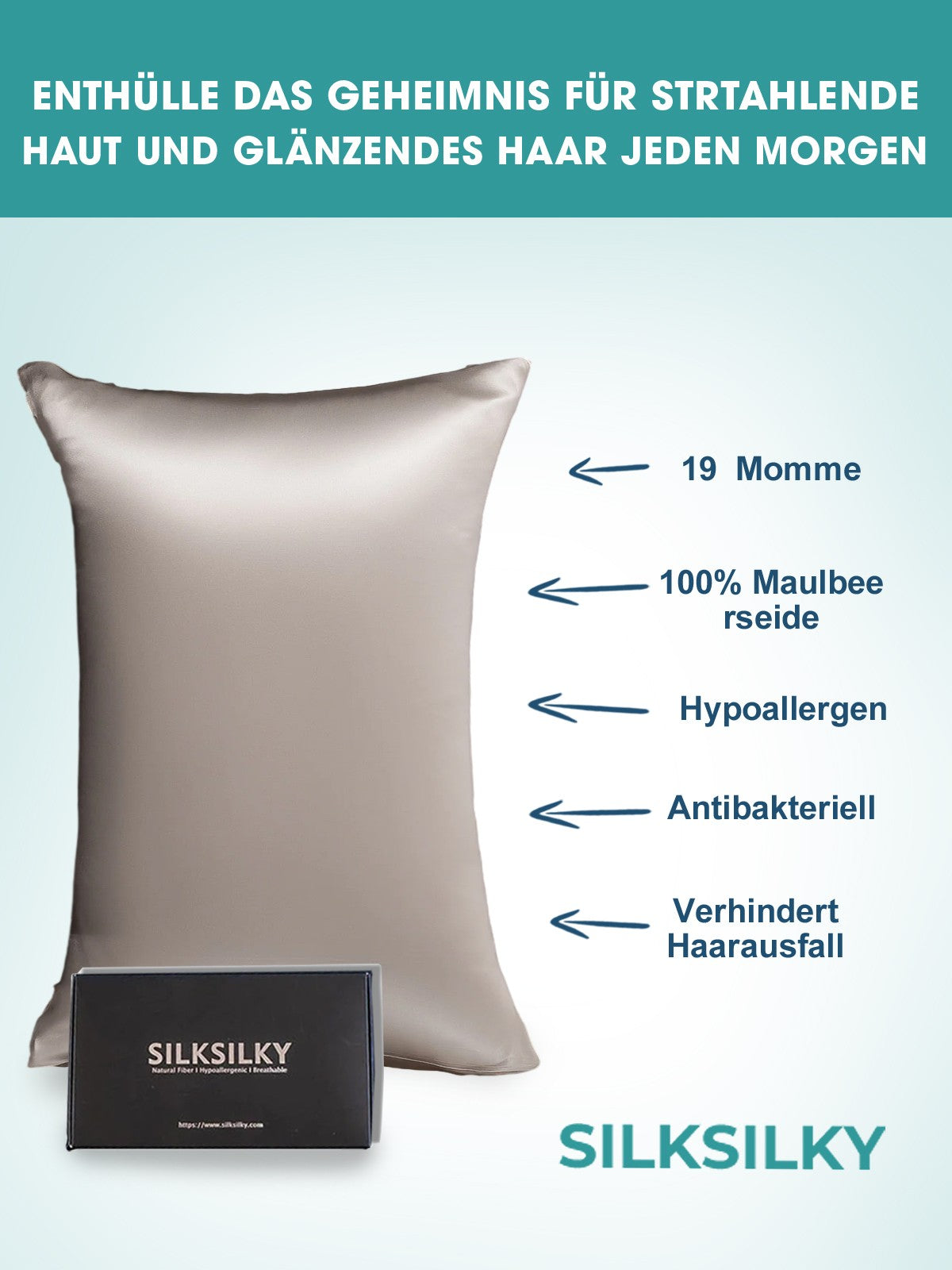 [Gris] SilkSilky-ES 19Momme Seda Pura Pillowcase 002