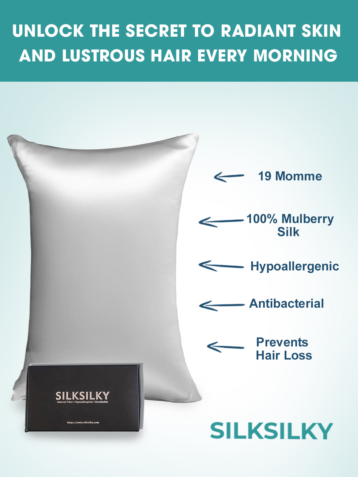 [Plata] SilkSilky-ES 19Momme Seda Pura Pillowcase 003