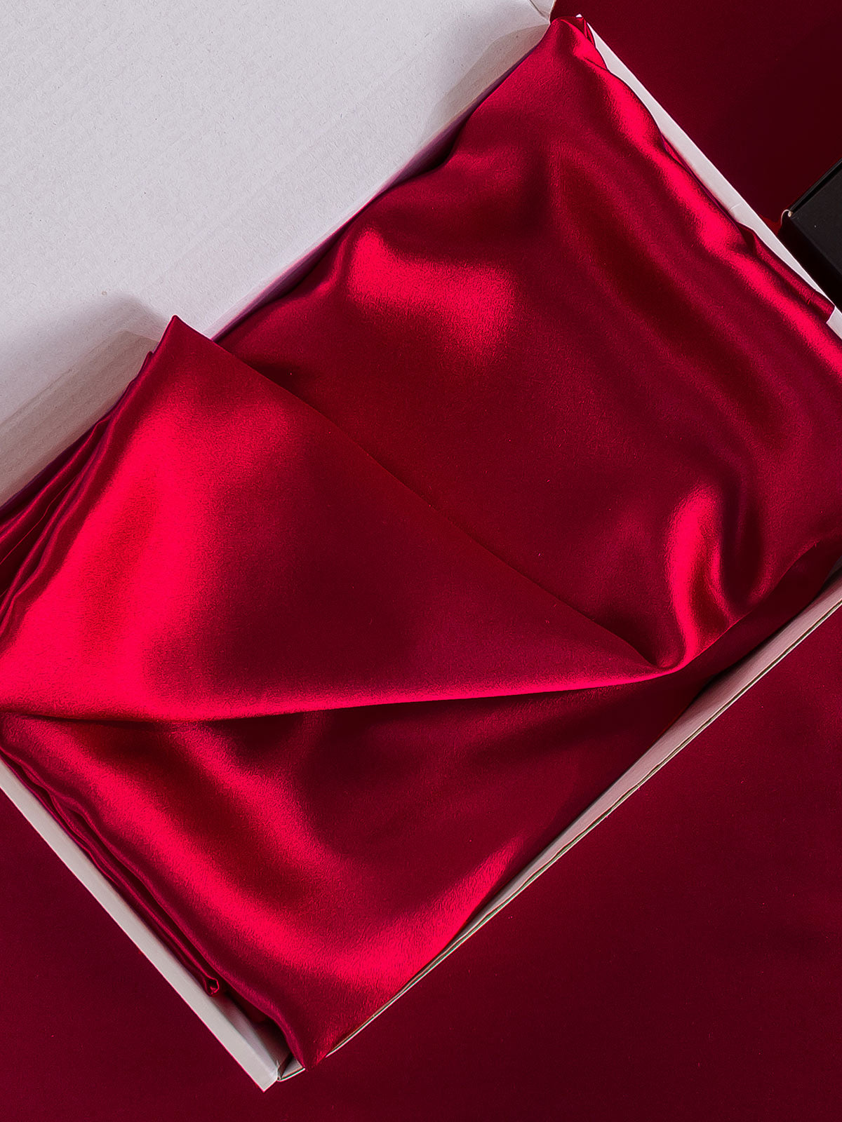 [Vino] SilkSilky-ES 19Momme Seda Pura Pillowcase 006