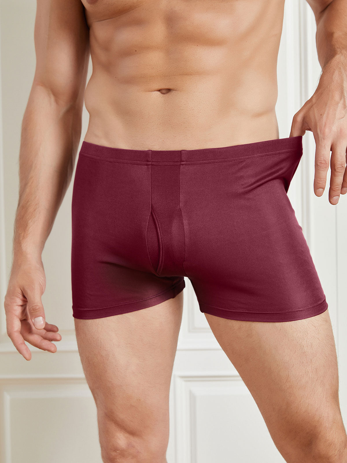 SilkSilky ES Tejido de seda Mens Underwear Vino 004