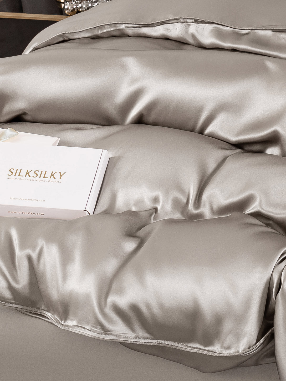 [Gris] SilkSilky-ES 25Momme Seda Pura Duvet Cover 003