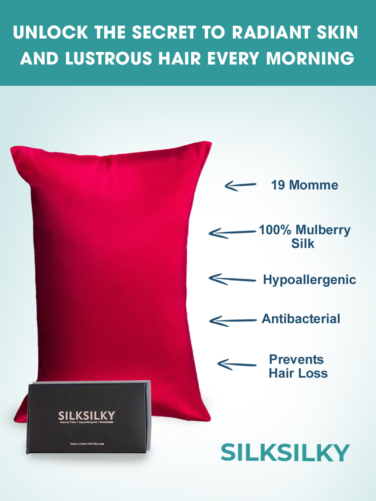 [Vino] SilkSilky-ES 19Momme Seda Pura Pillowcase 003