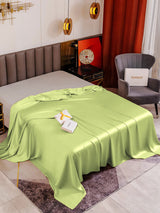 [Menta Verde] SilkSilky-ES 19Momme Sábana 001