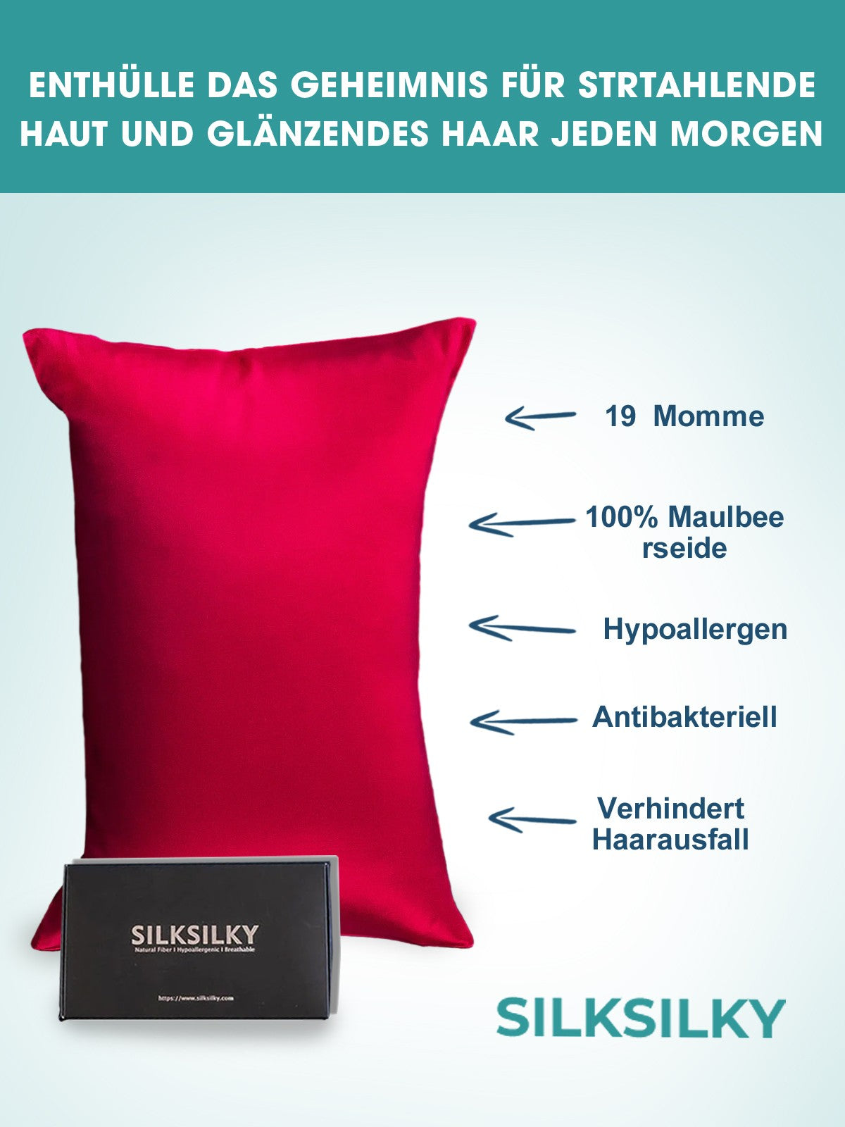 [Vino] SilkSilky-ES 19Momme Seda Pura Pillowcase 002