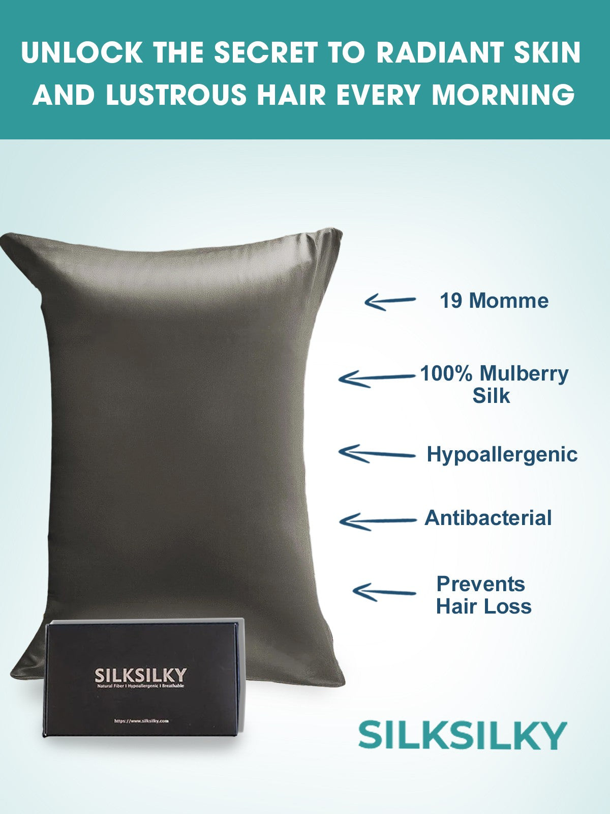 [Gris Oscuro] SilkSilky-ES 19Momme Seda Pura Pillowcase 003