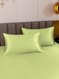 SilkSilky-ES 19Momme Seda Pura Pillowcase MentaVerde 001