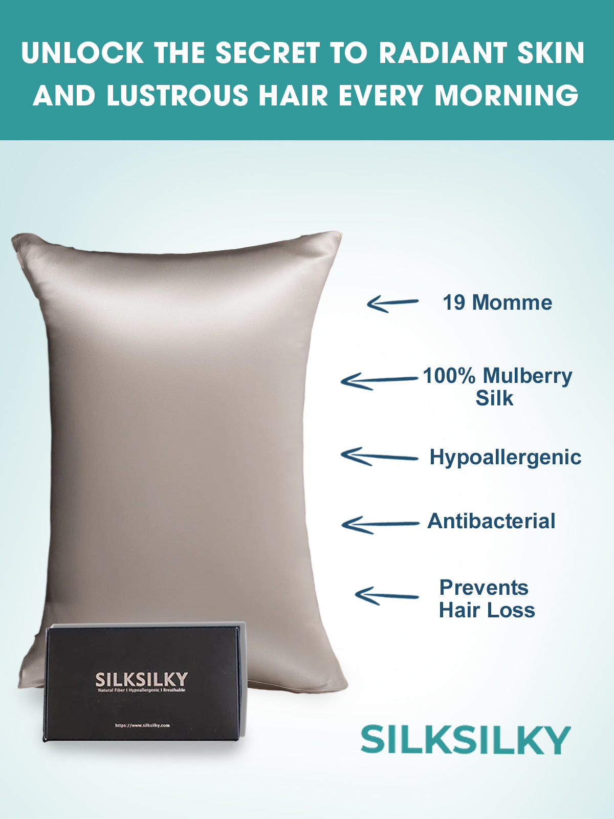 [Gris] SilkSilky-ES 19Momme Seda Pura Pillowcase 003