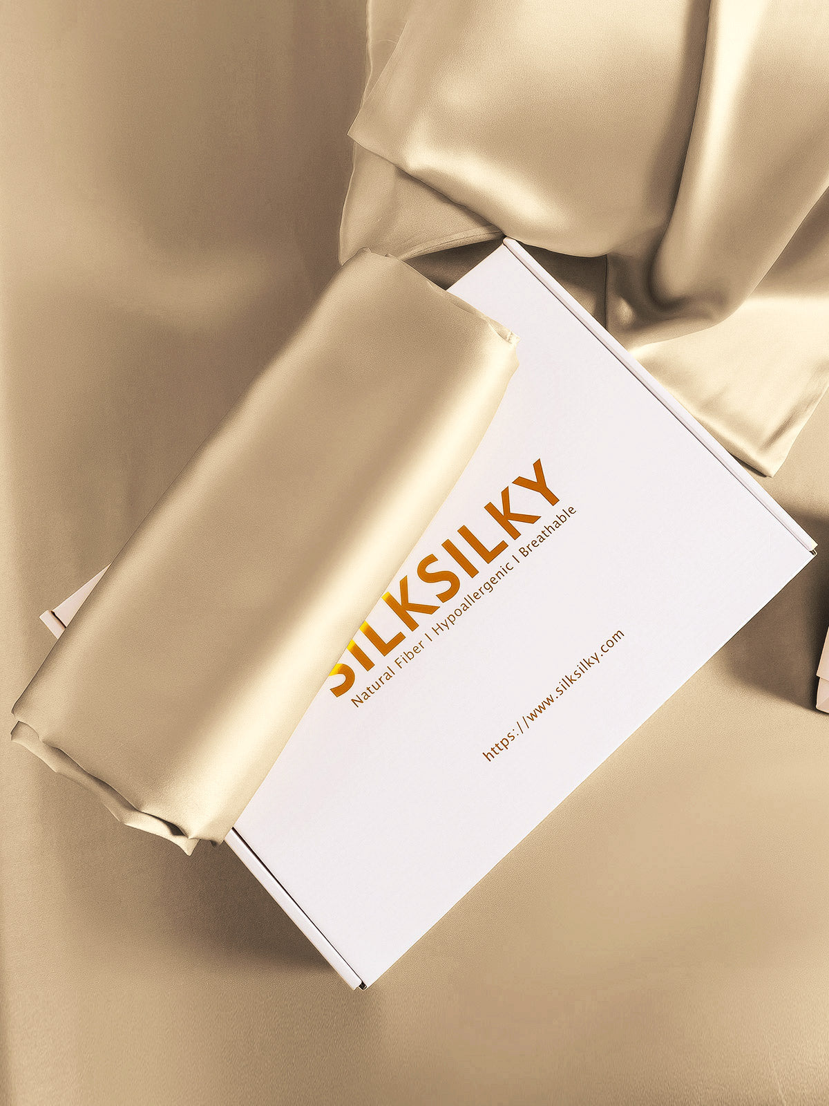 [Beige] SilkSilky-ES 19Momme Seda Pura Pillowcase 007