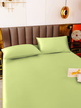[Menta Verde] SilkSilky-ES 19Momme Juego de ropa de cama 005