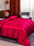 SilkSilky ES 19Momme Seda Pura Duvet Cover Vino 001