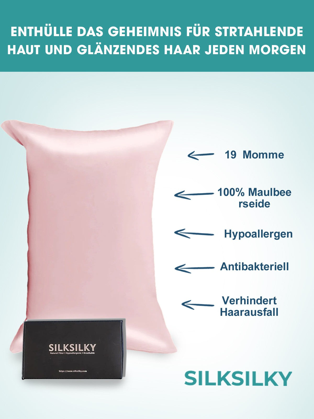 [Rosa] SilkSilky-ES 19Momme Seda Pura Pillowcase 002
