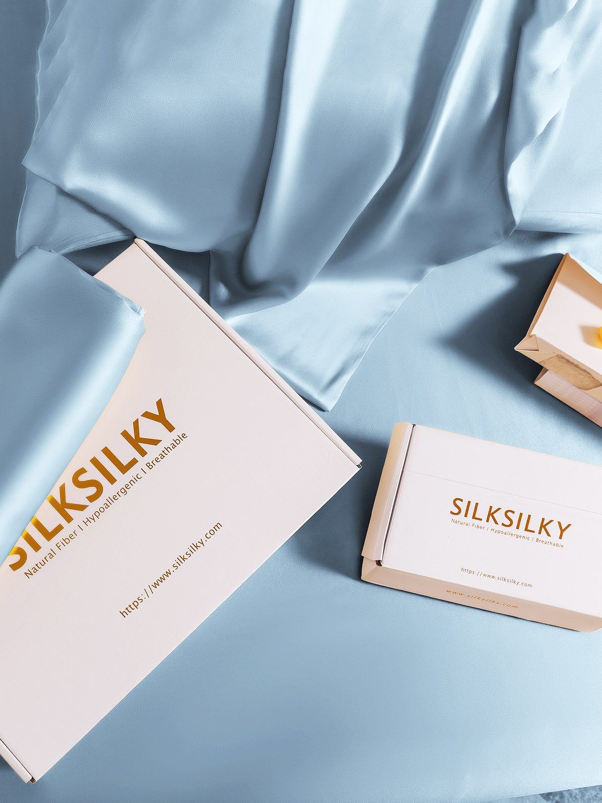 [Azul Claro] SilkSilky-ES 19Momme Seda Pura Pillowcase 007
