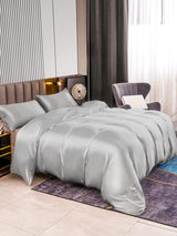 [Plata] SilkSilky-ES 22Momme Seda Pura Bedding Set 002,