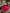 [Vino] SilkSilky-ES 19Momme Seda Pura Bedding Set 001