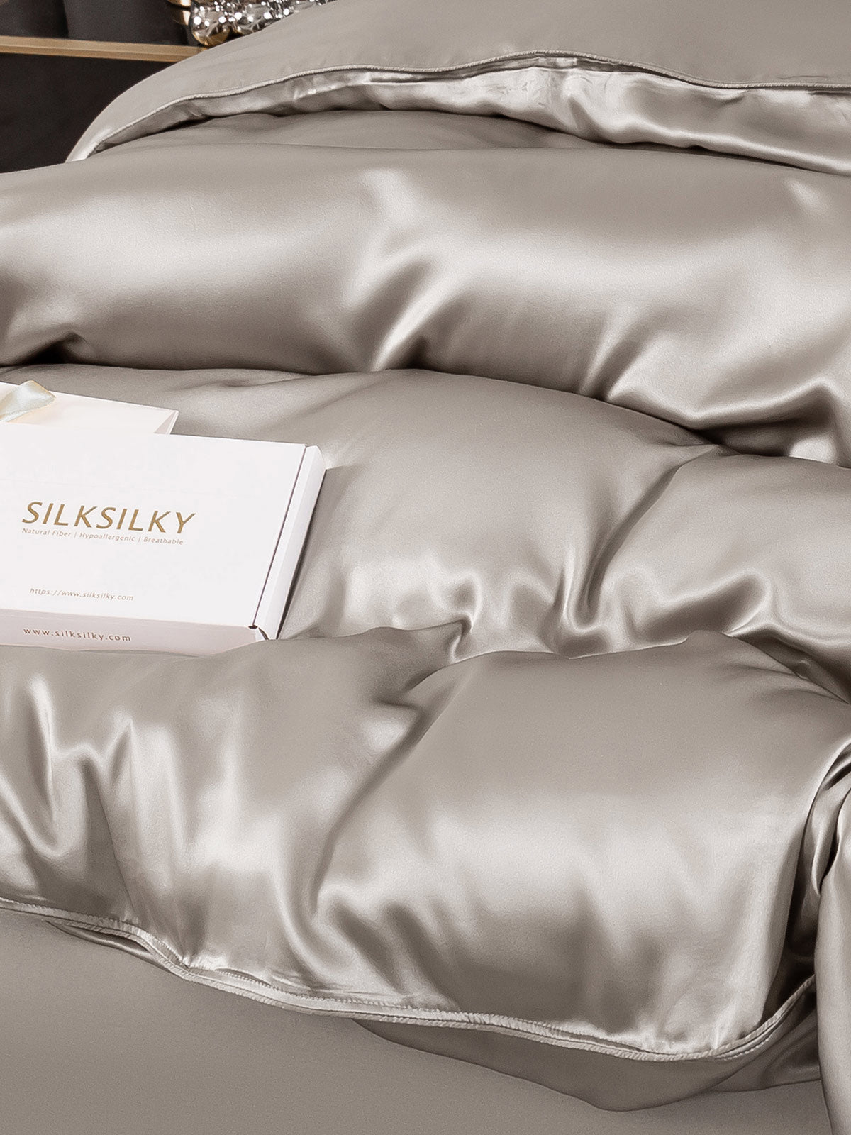 [Gris] SilkSilky-ES 25Momme Seda Pura Bedding Set 005