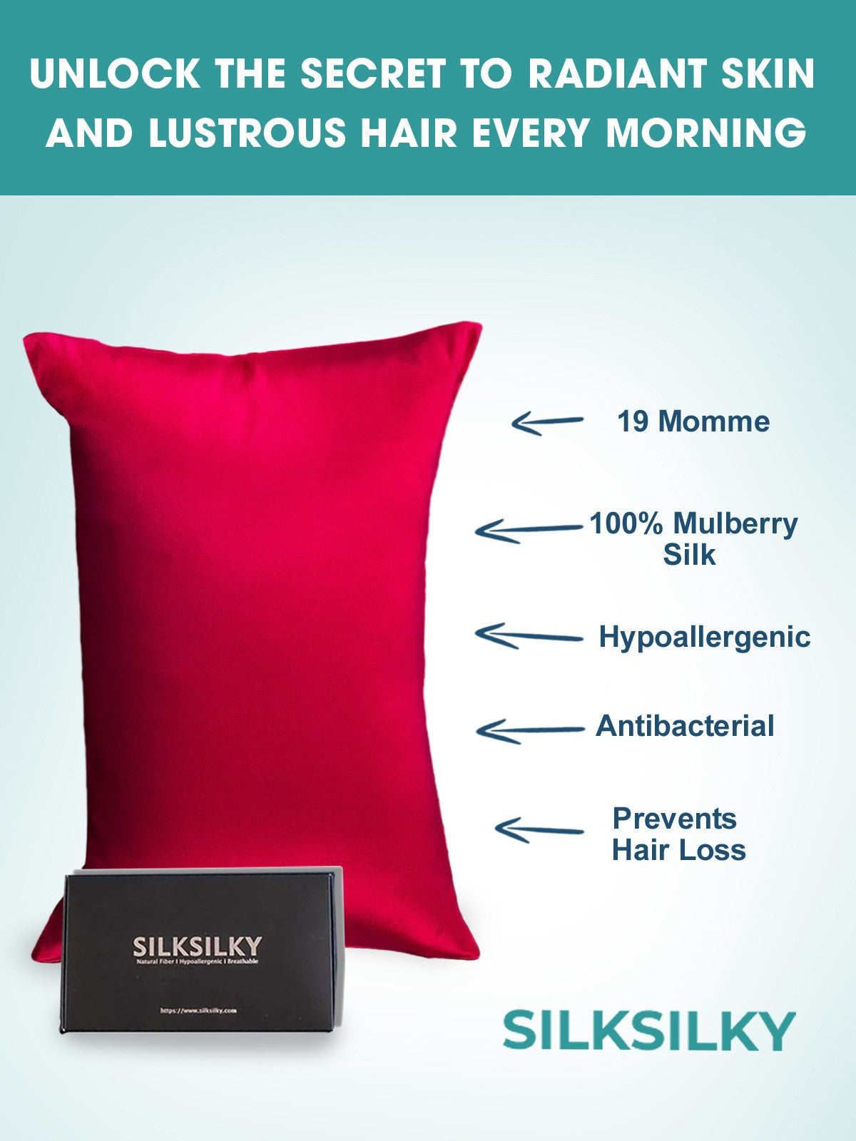 [Vino] SilkSilky-ES 19Momme Seda Pura Pillowcase 002