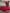 [Vino] SilkSilky-ES 19Momme Seda Pura Bedding Set 001