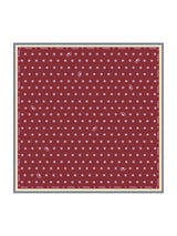 [Vino] SilkSilky-ES Scarf 001