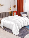 SilkSilky ES 19Momme Seda Pura Duvet Cover Blanco 001