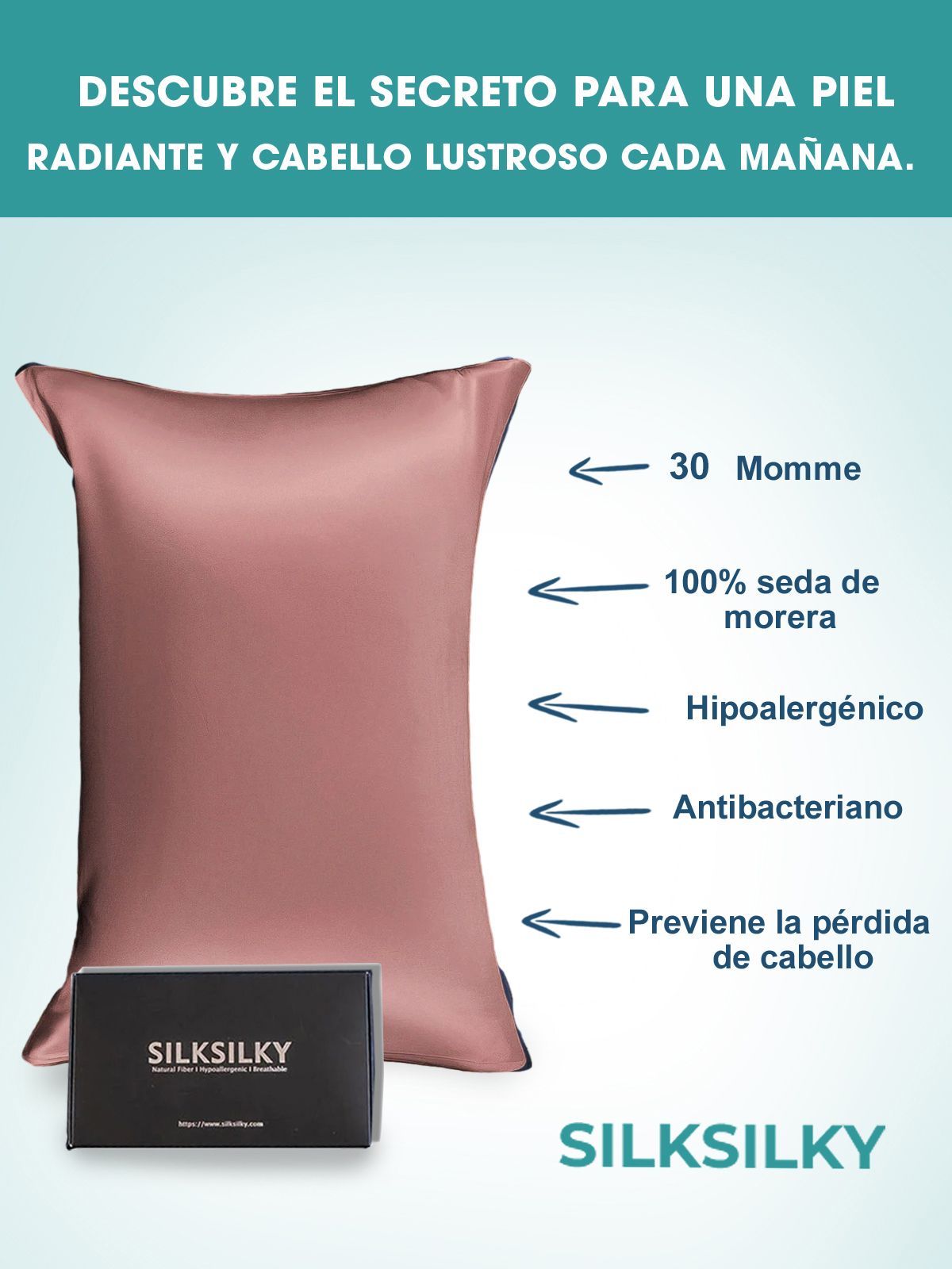 SilkSilky ES 30Momme Seda Pura Pillowcase MalvaPálido 003