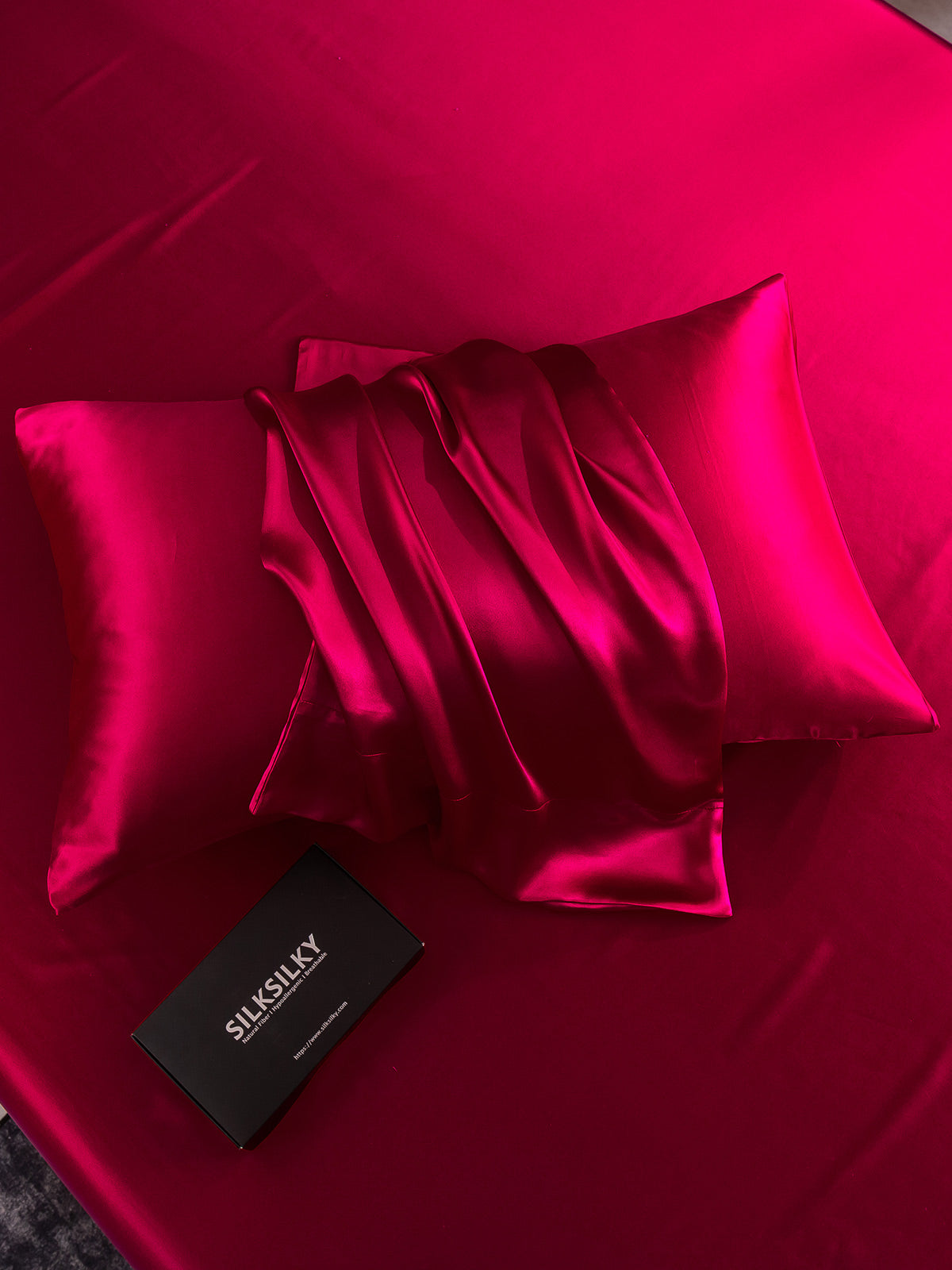 [Vino] SilkSilky-ES 19Momme Seda Pura Pillowcase 007