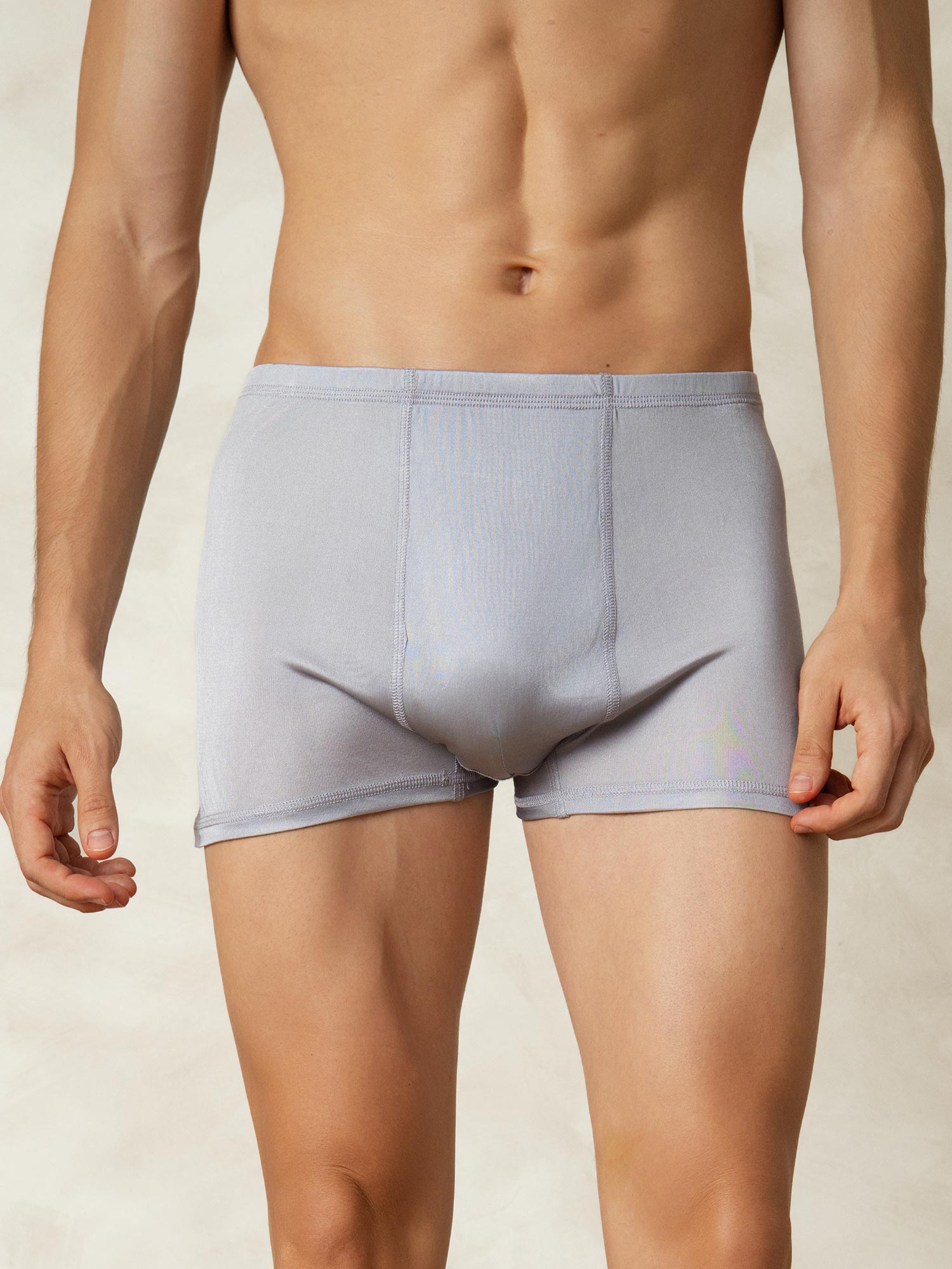 [Gris] SilkSilky-ES Tejido de seda Mens Underwear 003