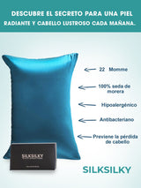 [Azul Real] SilkSilky-ES 22Momme Seda Pura Pillowcase 003